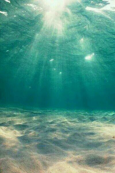 宁蘅傅瑾州小说叫什么名字